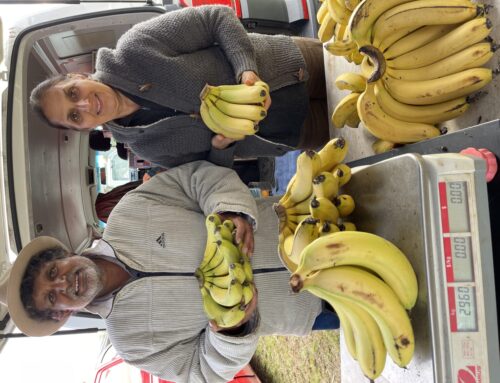 Neville Singh Bananas